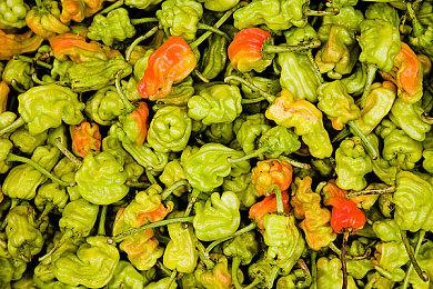 《黑神话：悟空》1.0.8.14860更新已在Epic平台上线